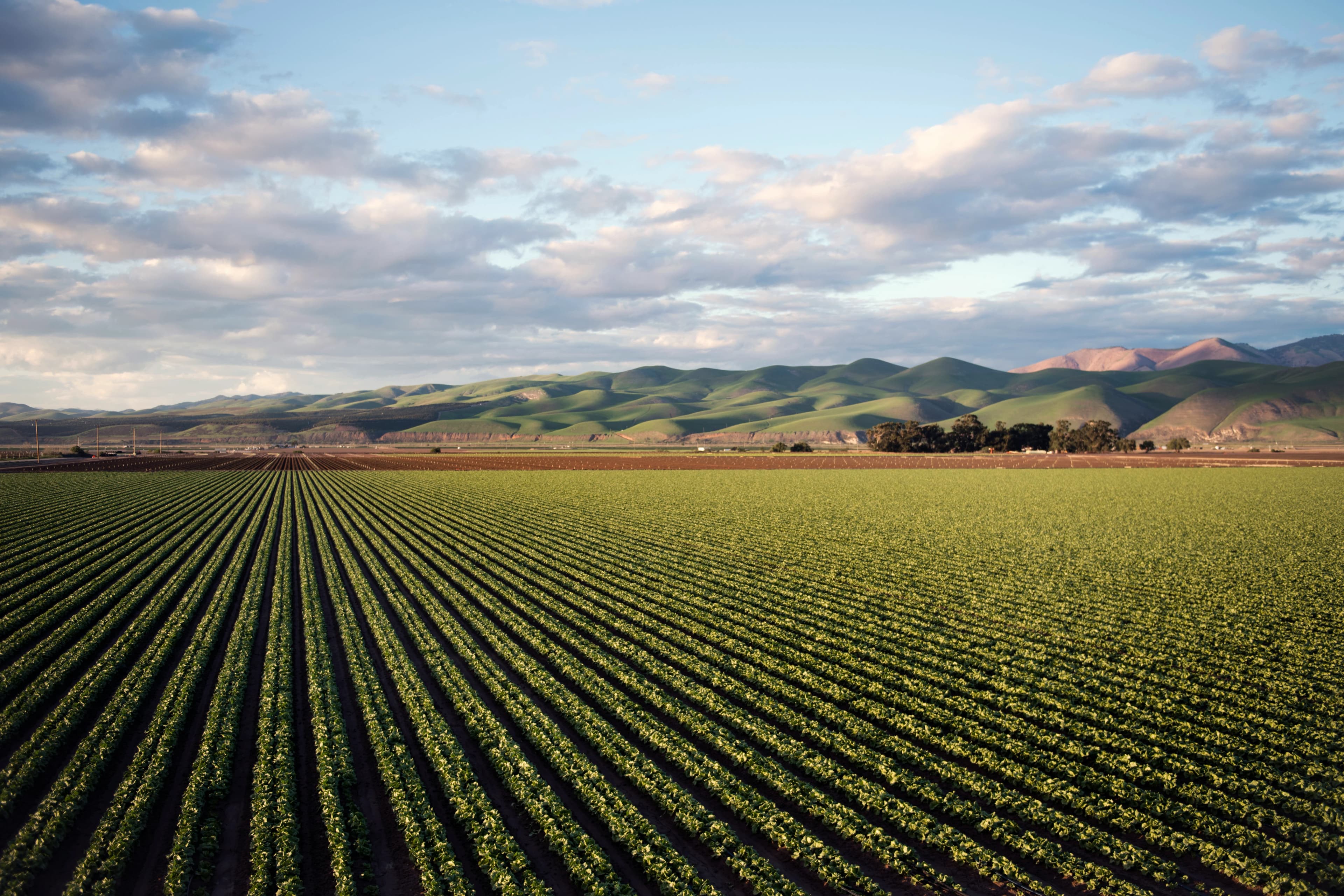 Green Valley Organic Farm